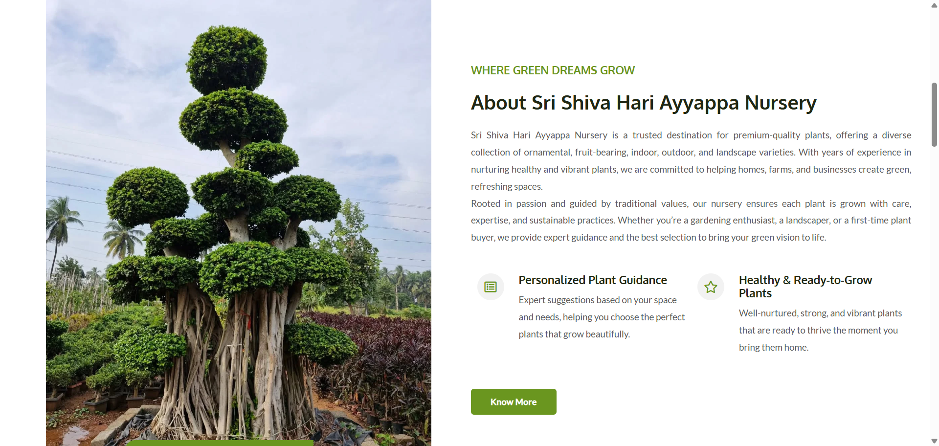 scrnli_2ikI01C958V0WJ