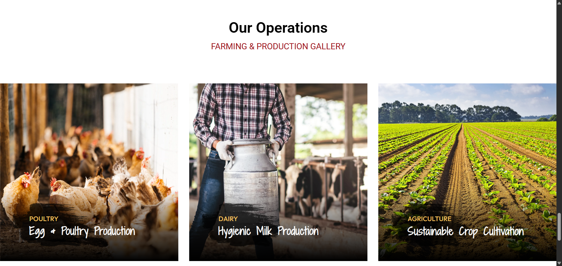 scrnli_5I7HBVgEx23gsy