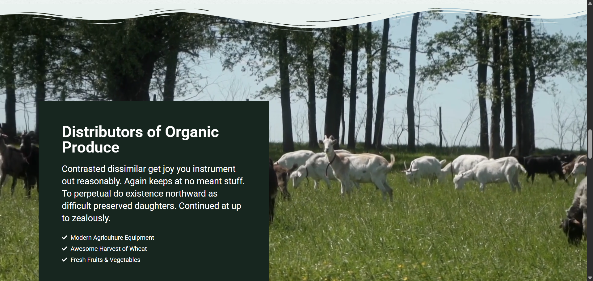 scrnli_Ebw5ChbMC2373Y