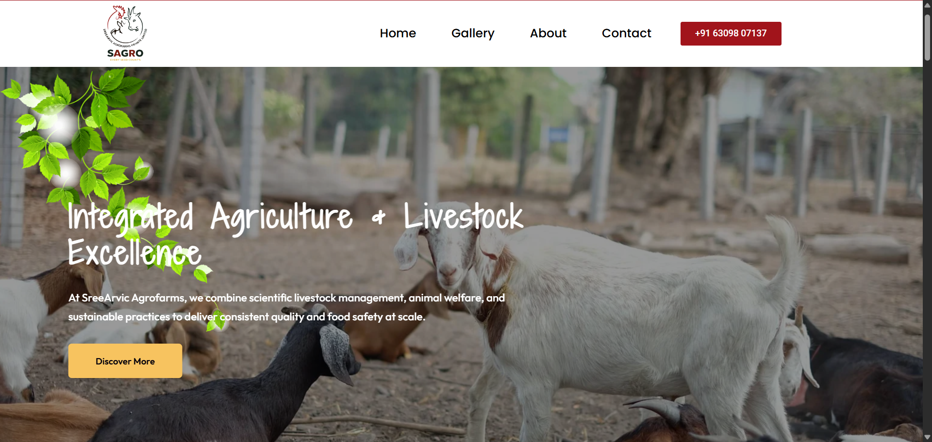 scrnli_bjDDYSy2M22Fq8