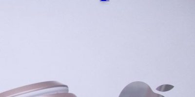 WordPress Wonders: Unveiling the Power of a WordPress Website for Your Business